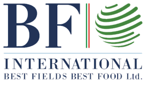 BF Ghana logo